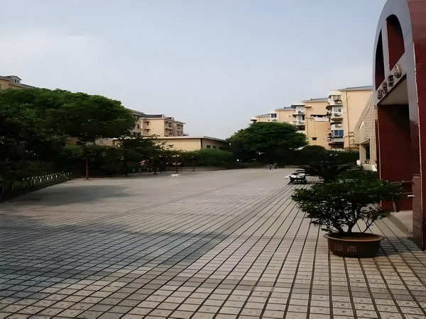 华夏足球之入欧计划